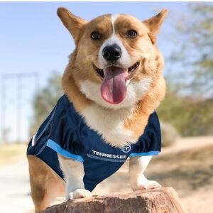 Titan Dog Jersey